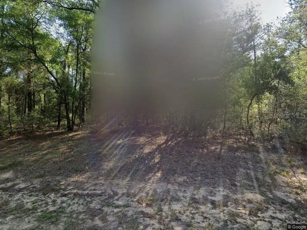 491 E Nemo Drive Dunnellon FL 34434