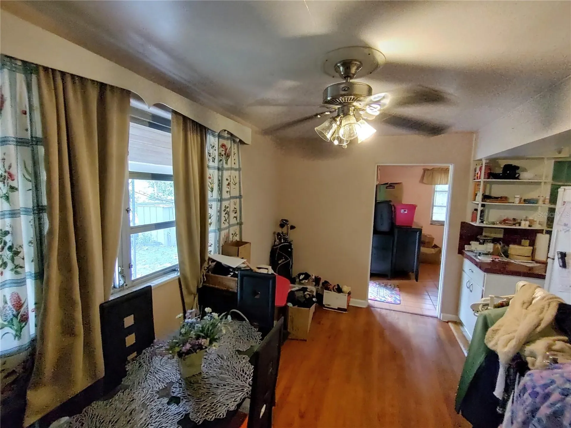 995 W 11th Avenue Mount Dora FL 32757