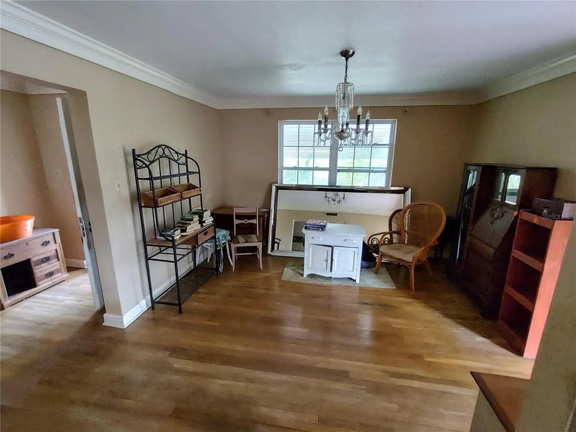 995 W 11th Avenue Mount Dora FL 32757