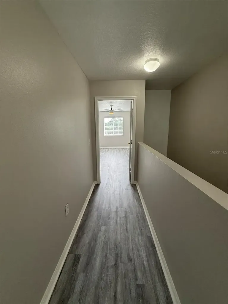 20460 Needletree Drive Tampa FL 33647