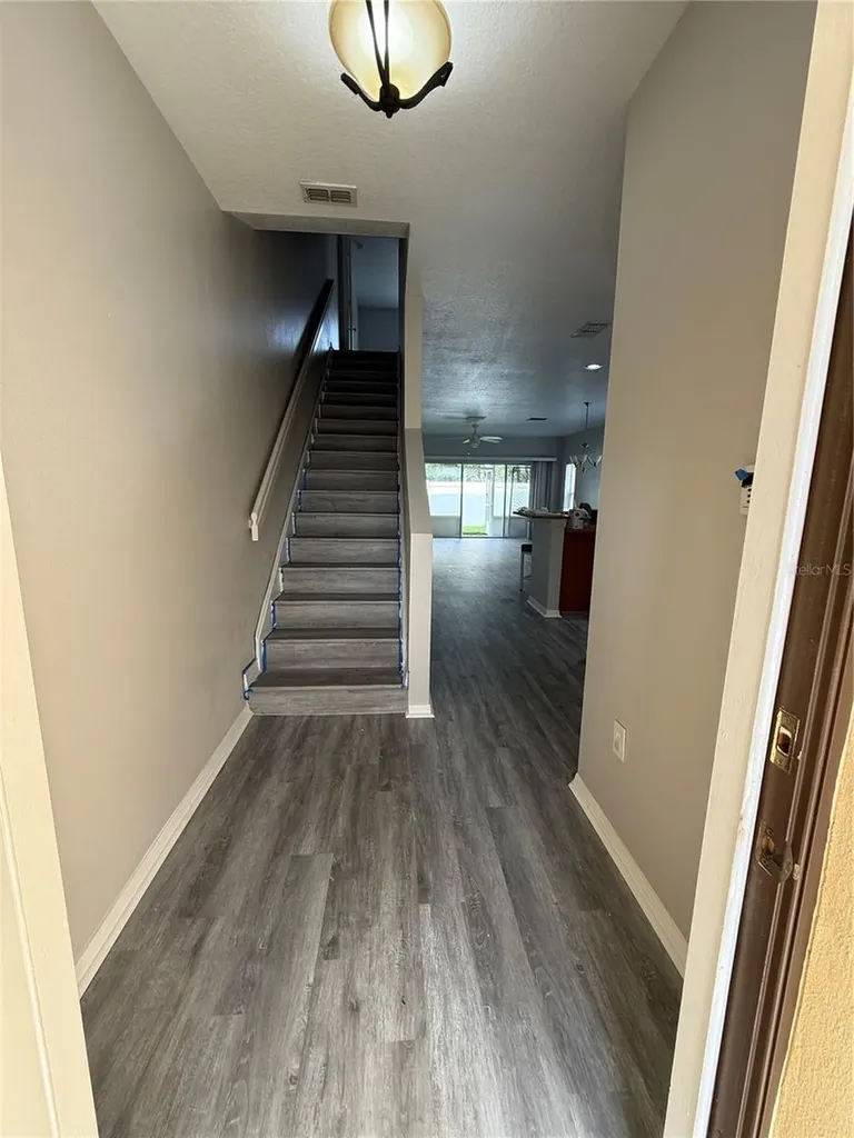 20460 Needletree Drive Tampa FL 33647