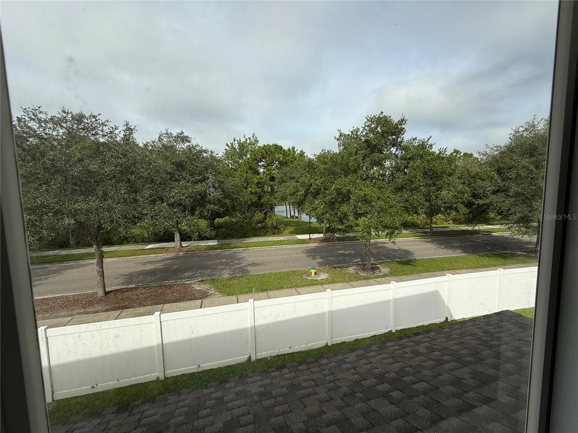 20460 Needletree Drive Tampa FL 33647