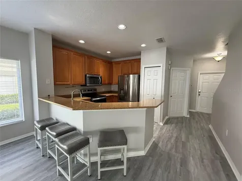 20460 Needletree Drive Tampa FL 33647
