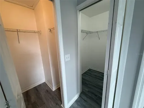 20460 Needletree Drive Tampa FL 33647