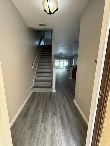 20460 Needletree Drive Tampa FL 33647