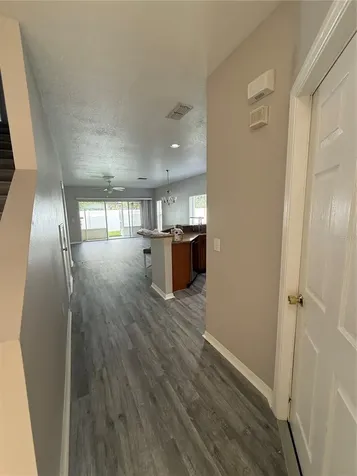 20460 Needletree Drive Tampa FL 33647