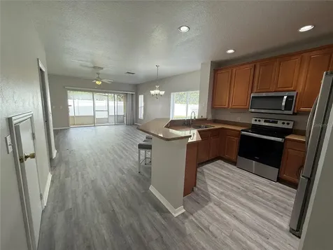 20460 Needletree Drive Tampa FL 33647
