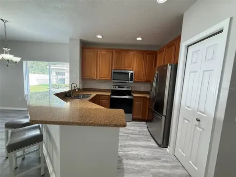 20460 Needletree Drive Tampa FL 33647