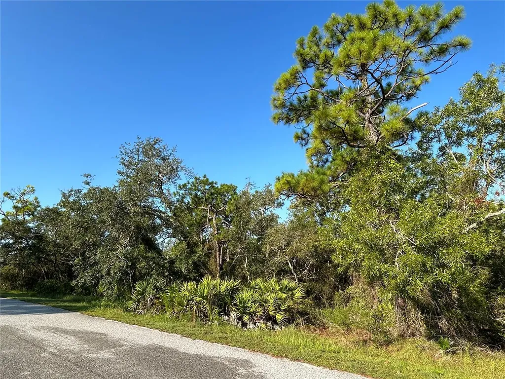 0 Nuzum Road Weeki Wachee FL 34613