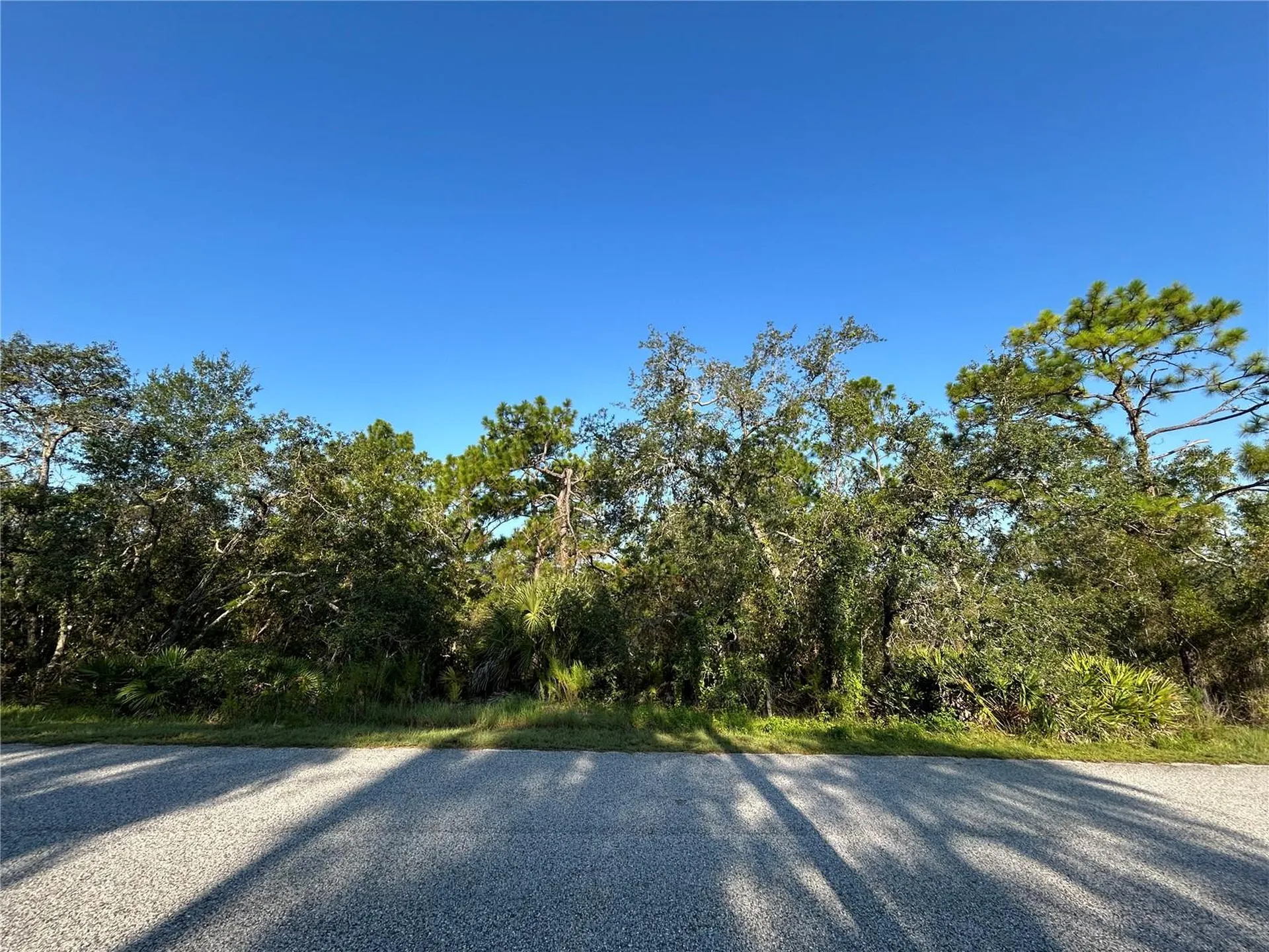 0 Nuzum Road Weeki Wachee FL 34613
