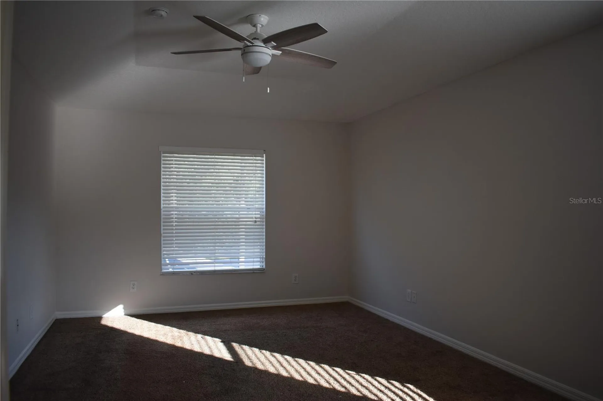 15509 Montilla Loop Tampa FL 33625