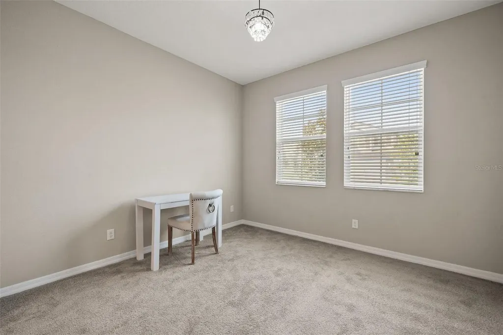 31954 Sapna Chime Drive Wesley Chapel FL 33545