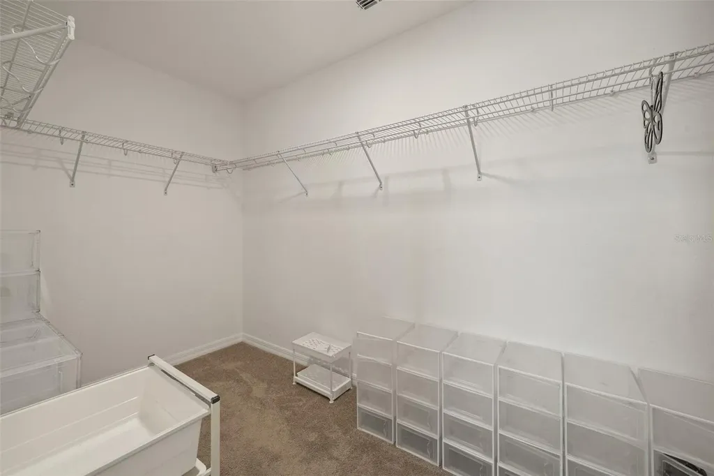 31954 Sapna Chime Drive Wesley Chapel FL 33545