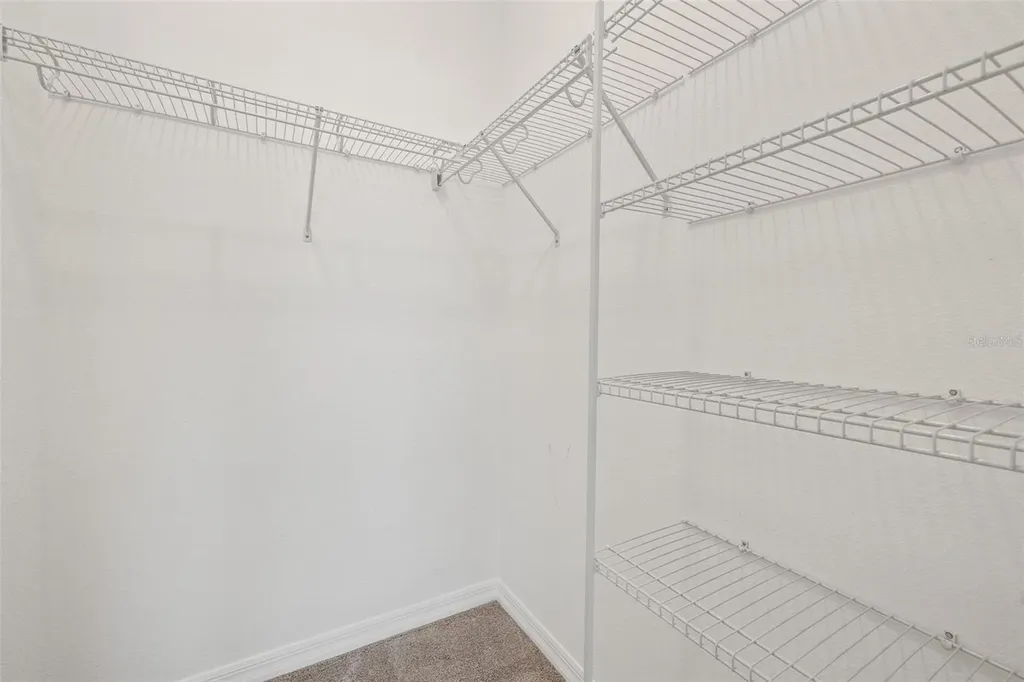 31954 Sapna Chime Drive Wesley Chapel FL 33545