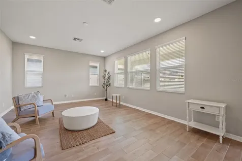 31954 Sapna Chime Drive Wesley Chapel FL 33545