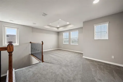 31954 Sapna Chime Drive Wesley Chapel FL 33545