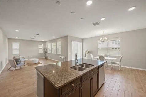 31954 Sapna Chime Drive Wesley Chapel FL 33545