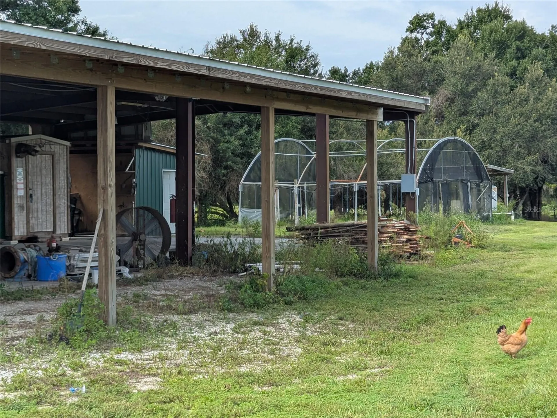 1291 NE Hansel Avenue Arcadia FL 34266