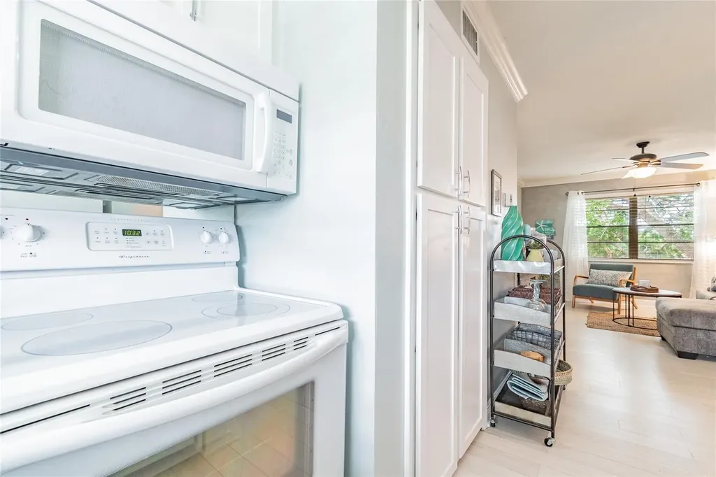 439 S Paula Drive Dunedin FL 34698