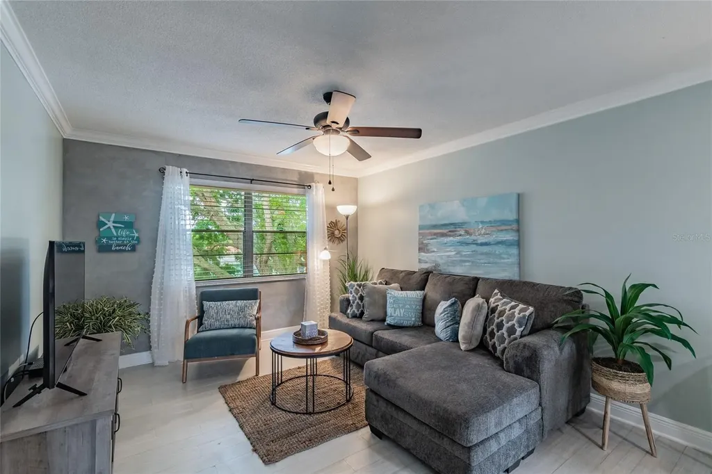 439 S Paula Drive Dunedin FL 34698