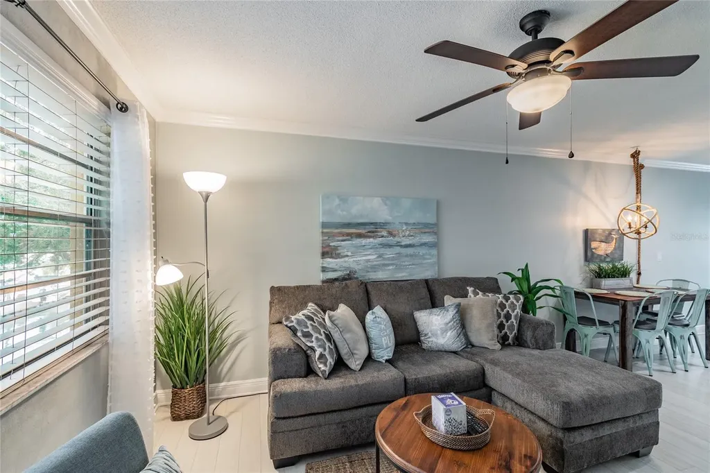 439 S Paula Drive Dunedin FL 34698