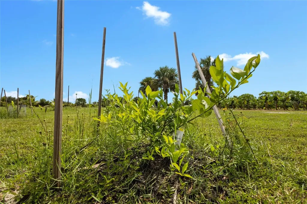 20914 NW 280th Street Okeechobee FL 34972