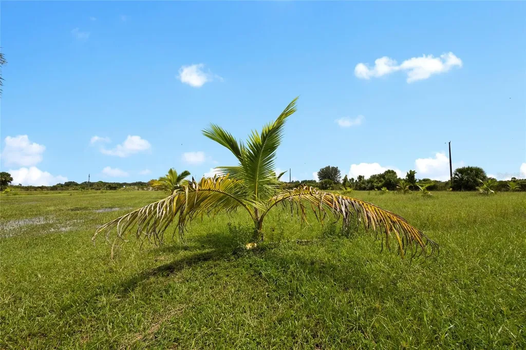 20914 NW 280th Street Okeechobee FL 34972