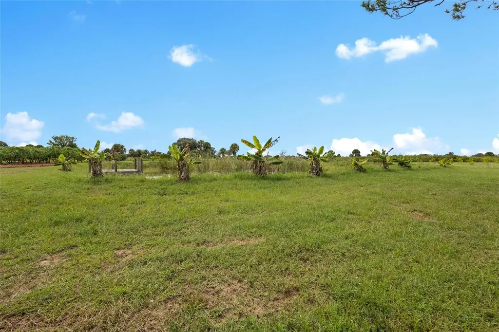 20914 NW 280th Street Okeechobee FL 34972