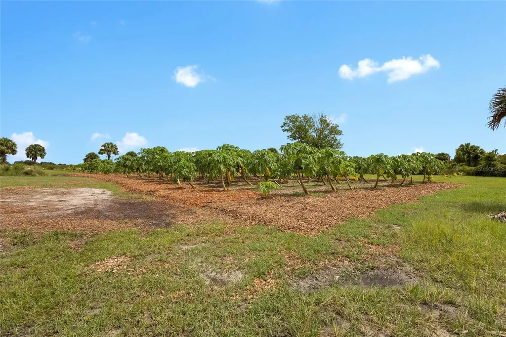 20914 NW 280th Street Okeechobee FL 34972