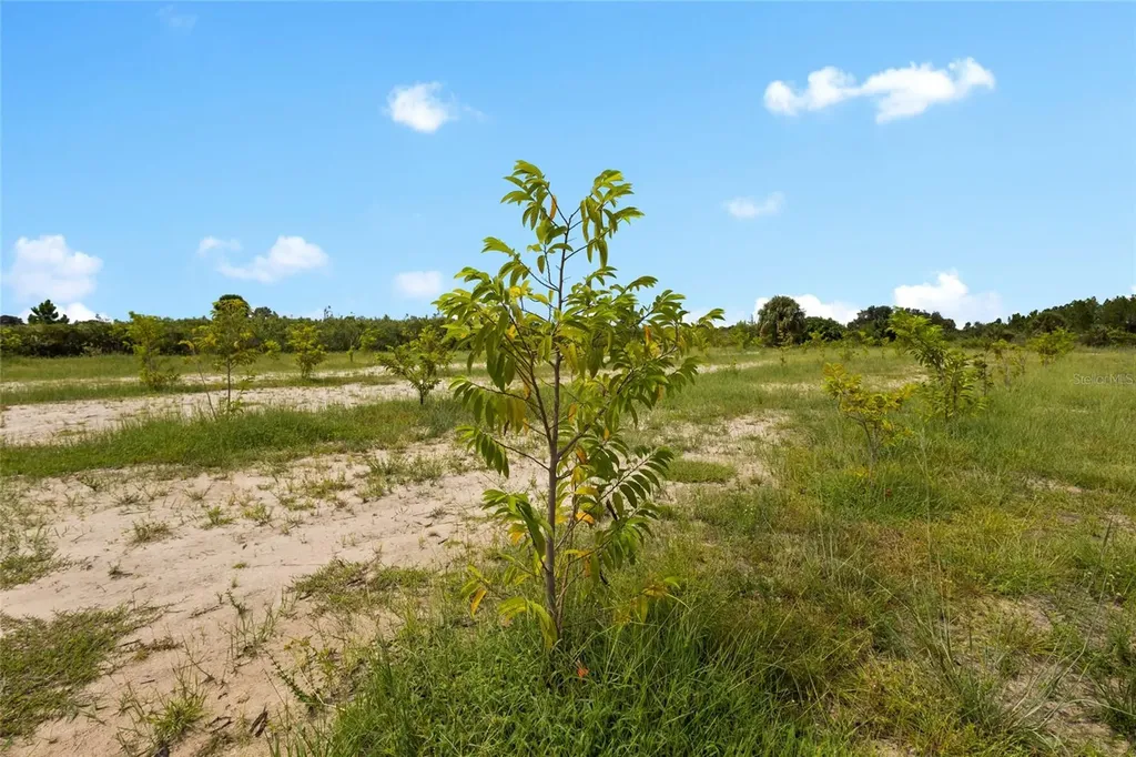 20914 NW 280th Street Okeechobee FL 34972