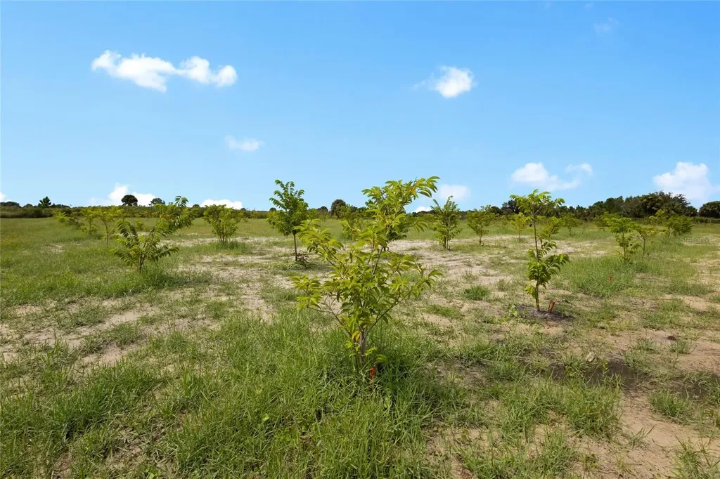 20914 NW 280th Street Okeechobee FL 34972