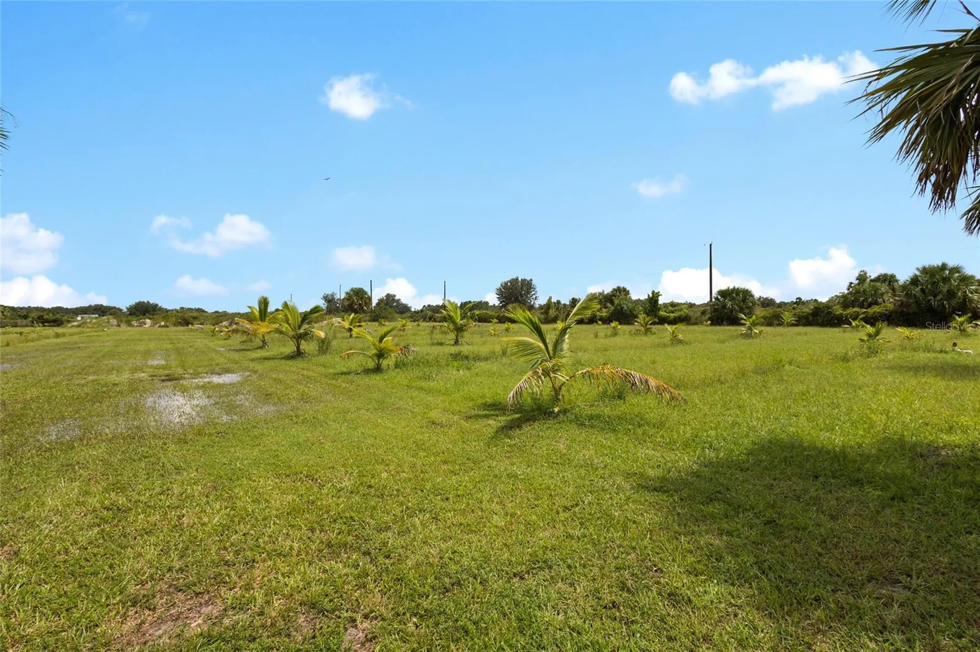 20914 NW 280th Street Okeechobee FL 34972