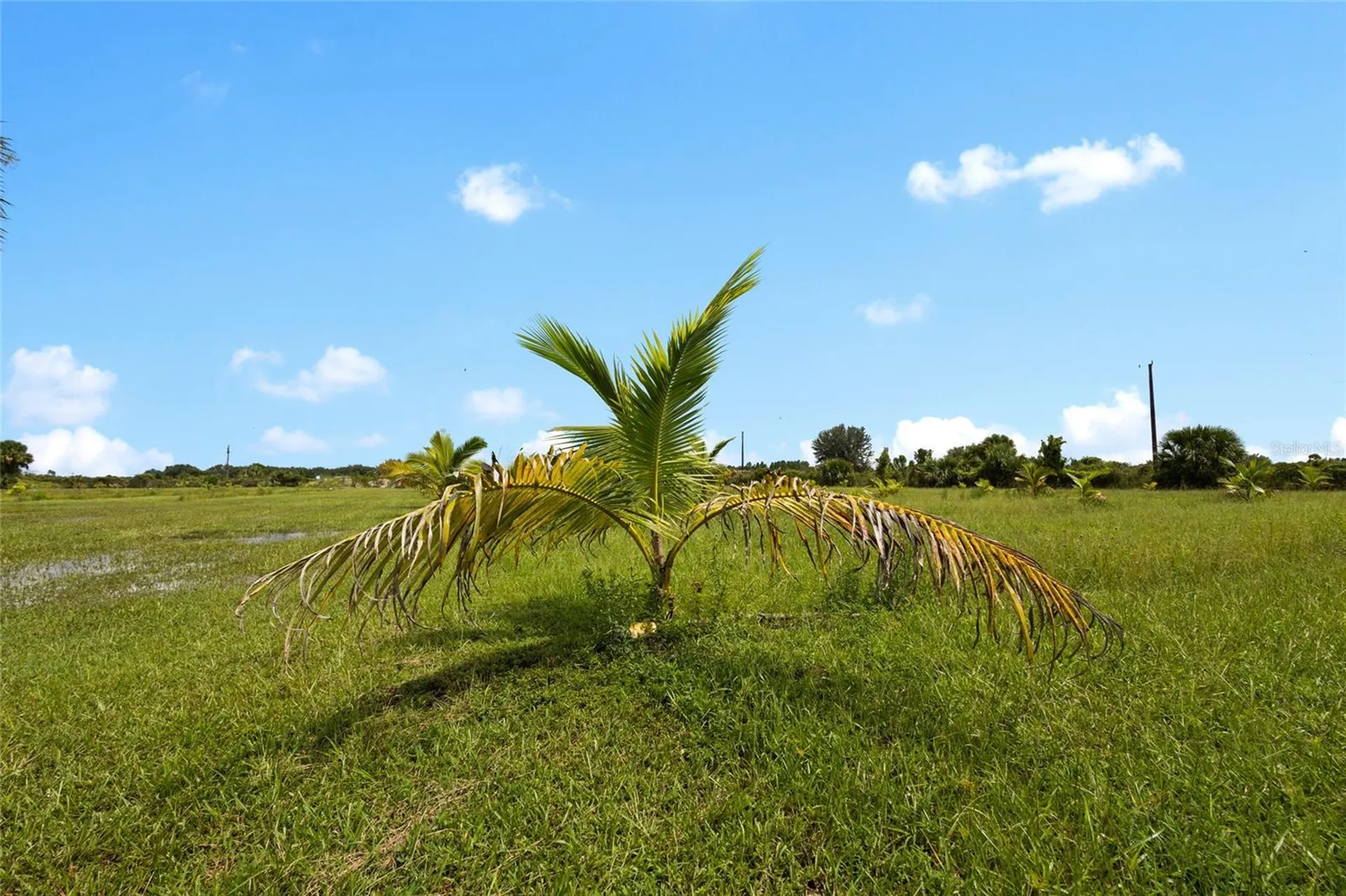 20914 NW 280th Street Okeechobee FL 34972