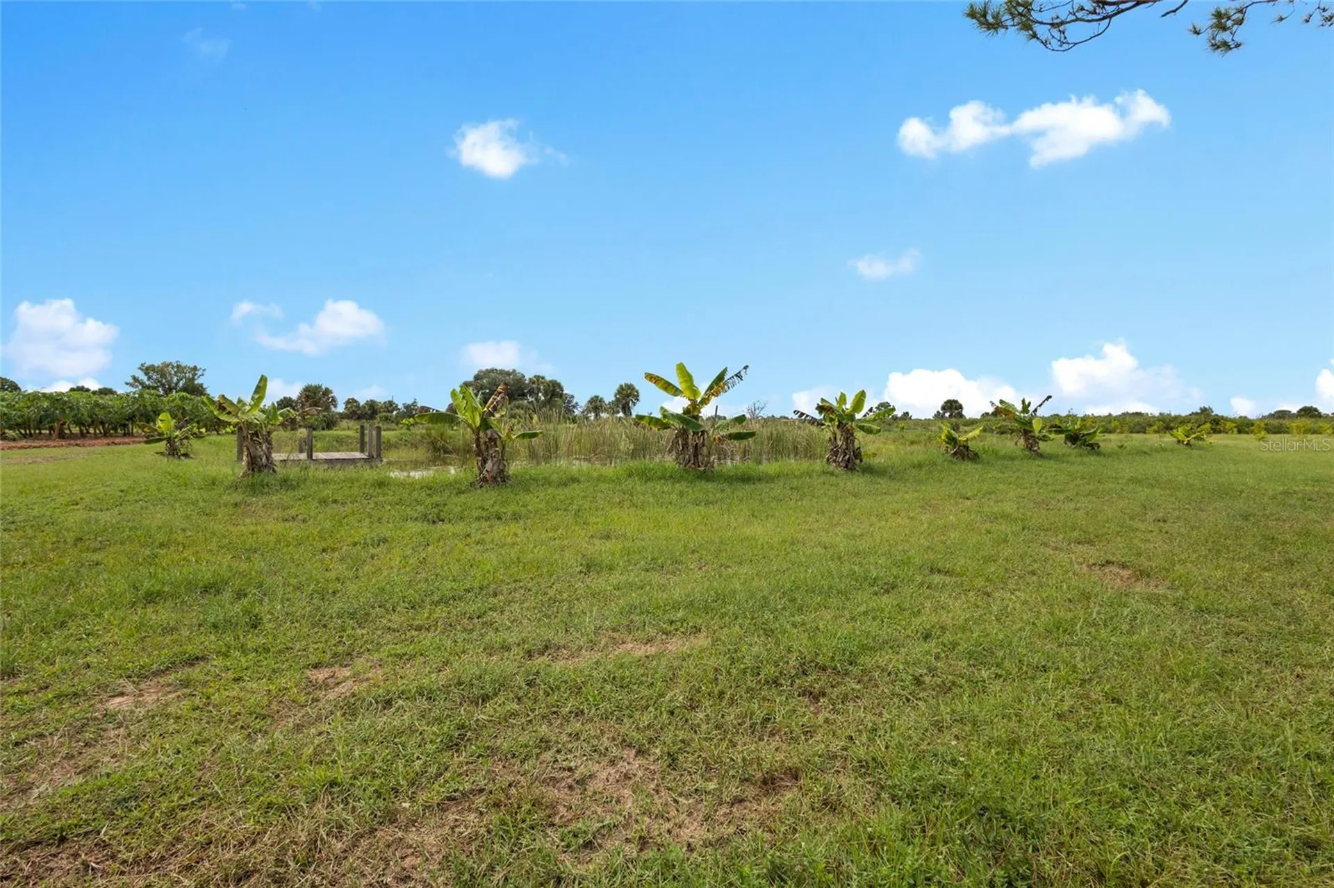 20914 NW 280th Street Okeechobee FL 34972