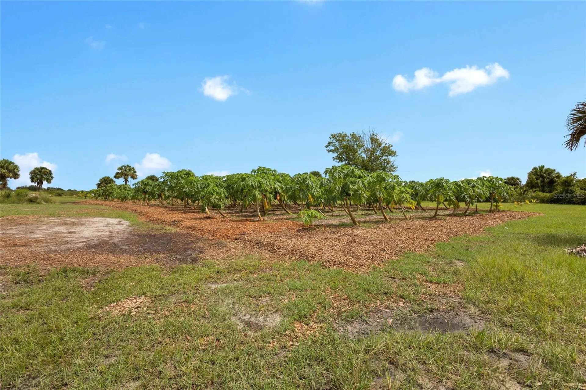 20914 NW 280th Street Okeechobee FL 34972
