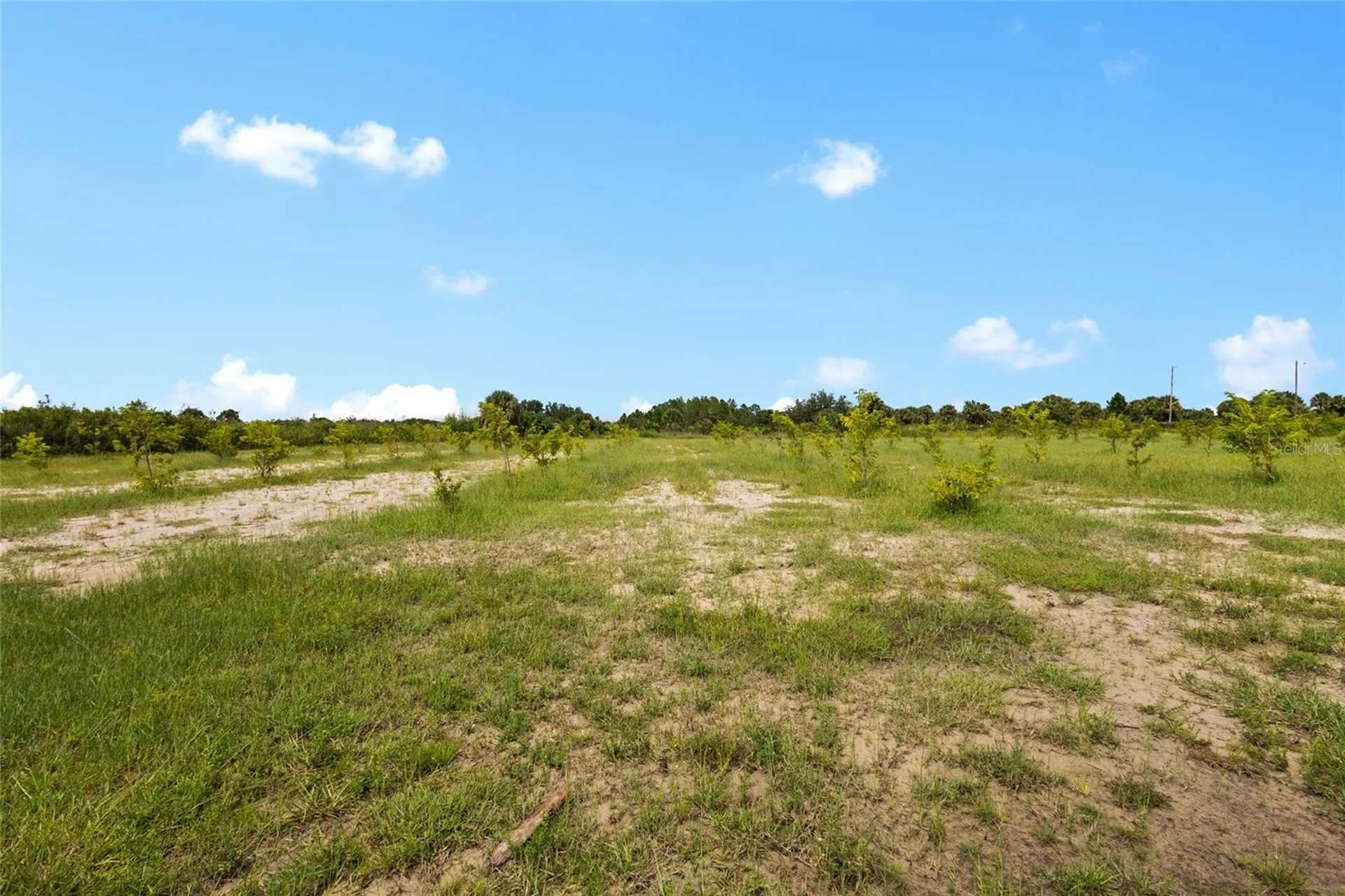 20914 NW 280th Street Okeechobee FL 34972