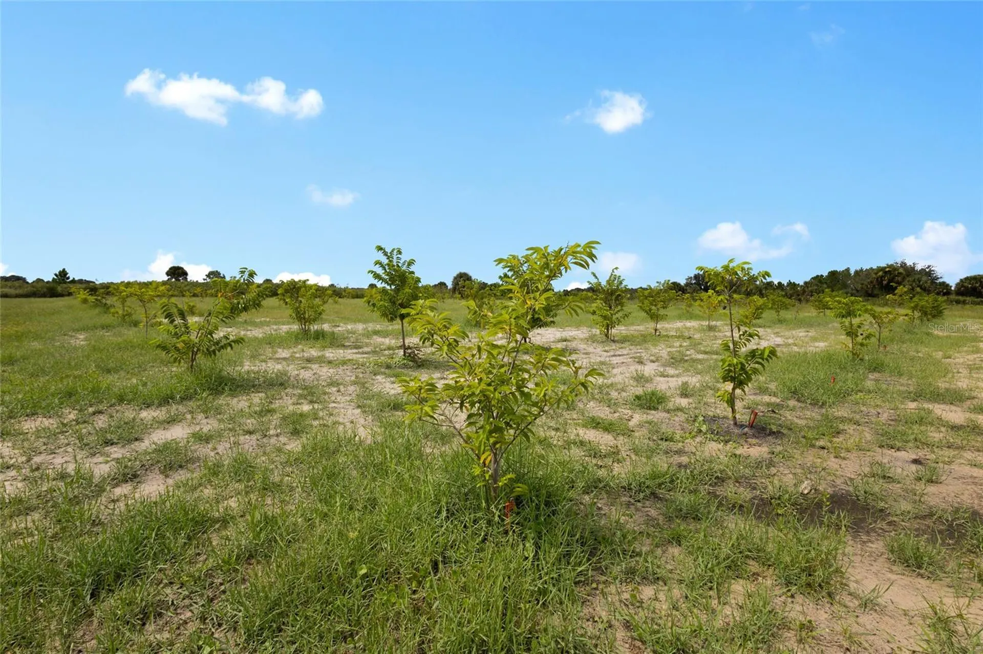 20914 NW 280th Street Okeechobee FL 34972
