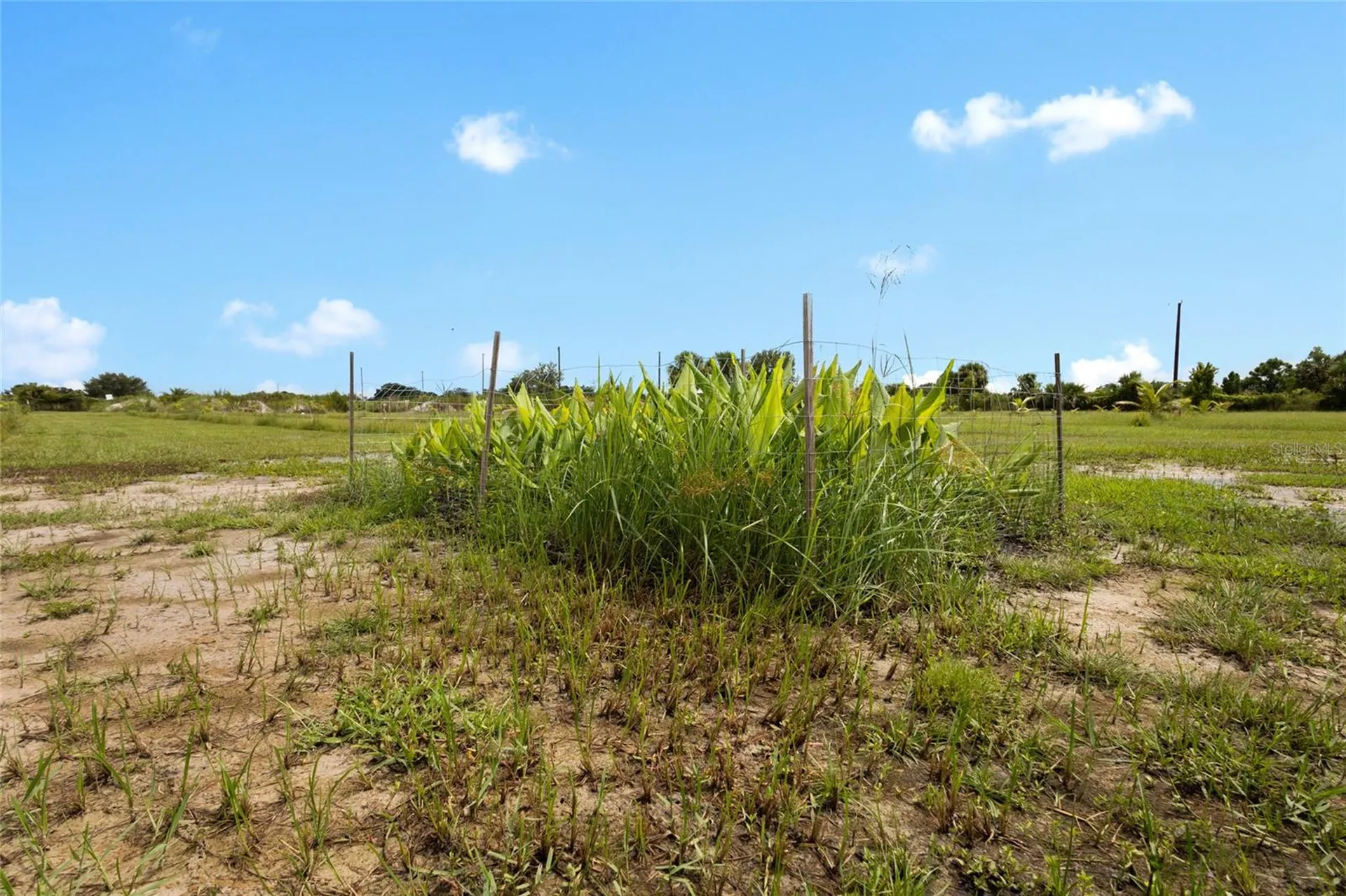20914 NW 280th Street Okeechobee FL 34972