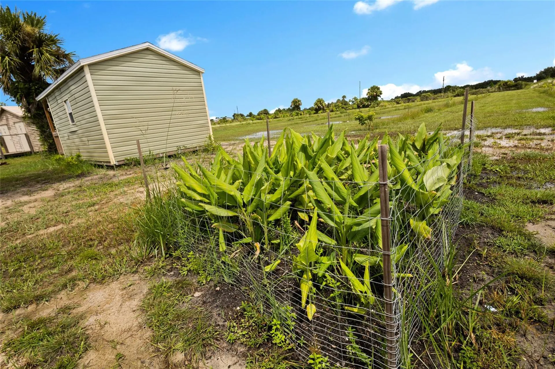 20914 NW 280th Street Okeechobee FL 34972