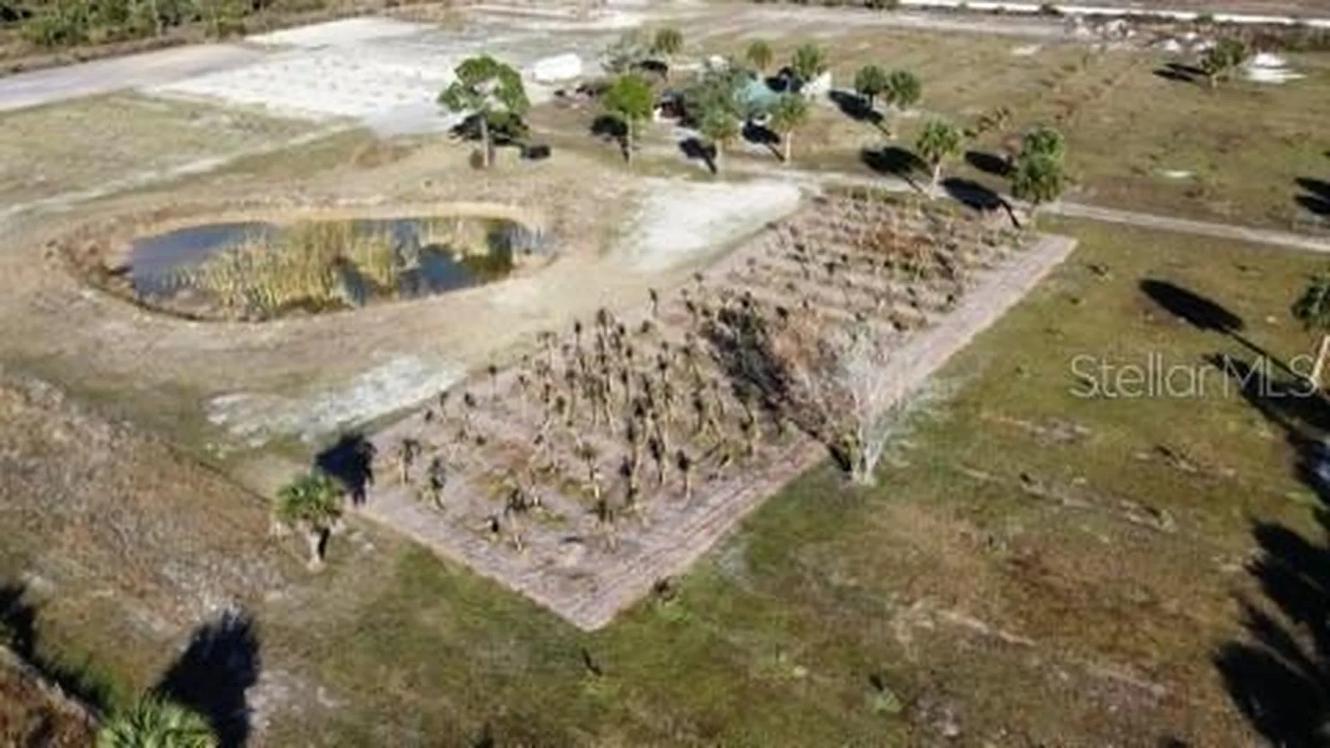 20914 NW 280th Street Okeechobee FL 34972