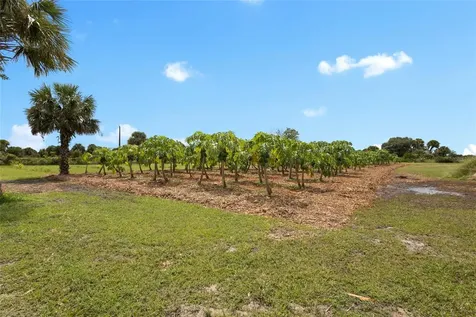 20914 NW 280th Street Okeechobee FL 34972