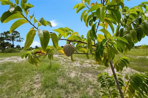 20914 NW 280th Street Okeechobee FL 34972