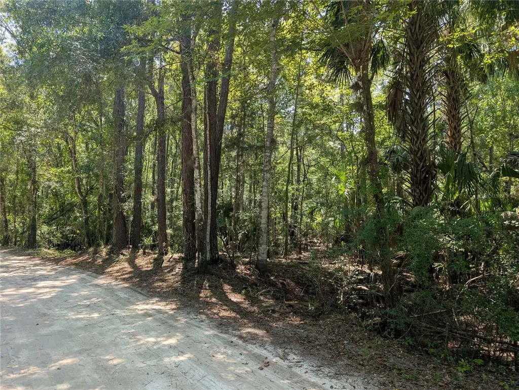 6252 E River Road Hernando FL 34442