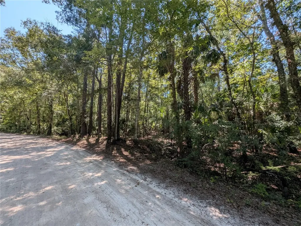 6252 E River Road Hernando FL 34442