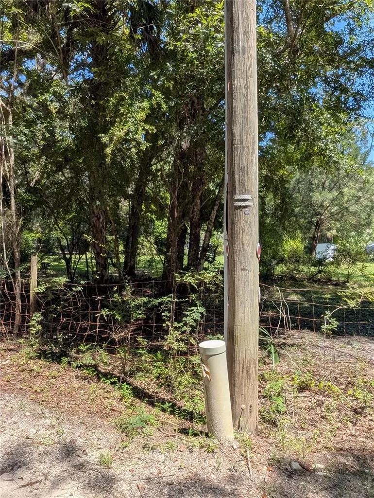 6252 E River Road Hernando FL 34442