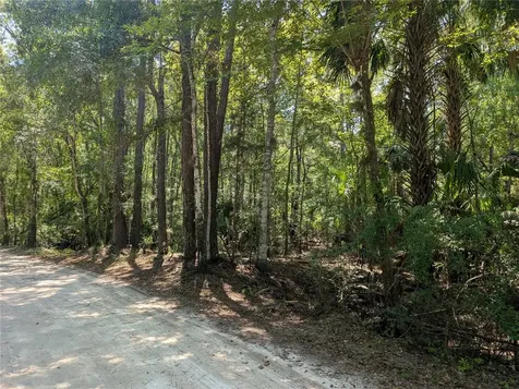 6252 E River Road Hernando FL 34442