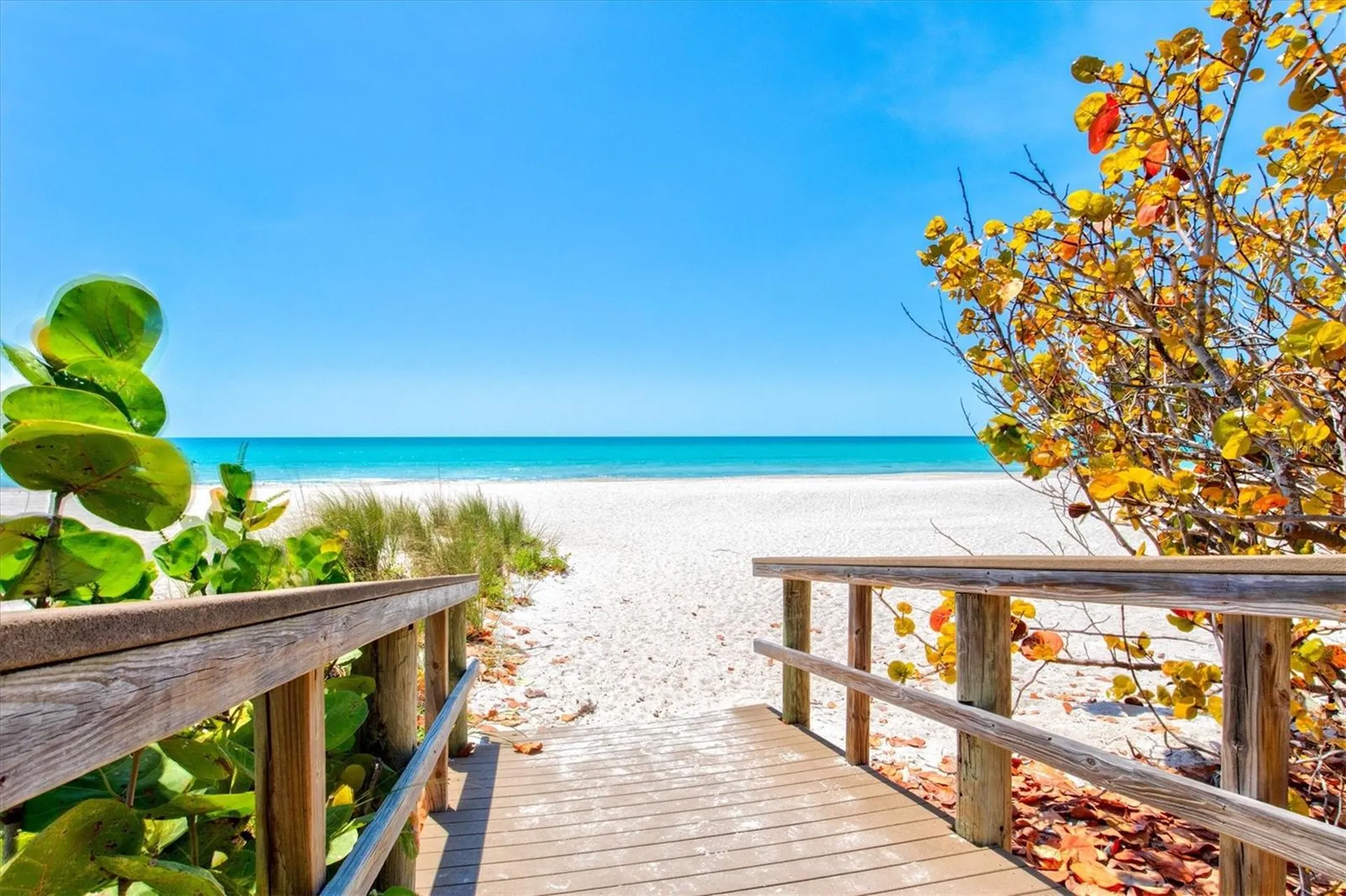524 Halyard Lane Longboat Key FL 34228