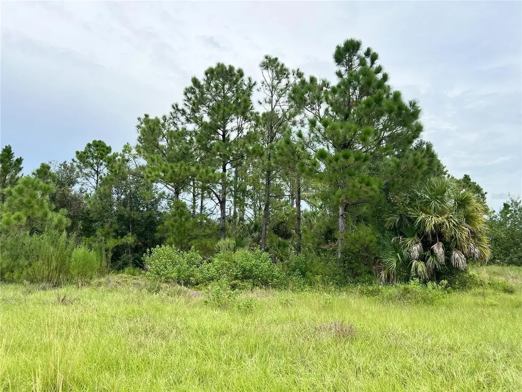 Blackwood Circle North Port FL 34288