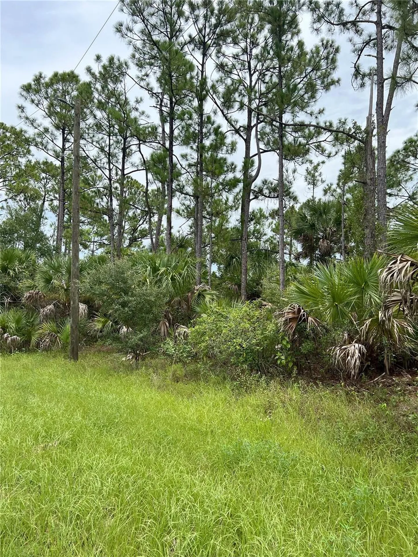 Blackwood Circle North Port FL 34288