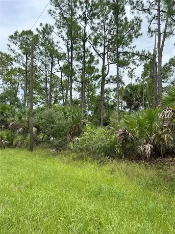 Blackwood Circle North Port FL 34288